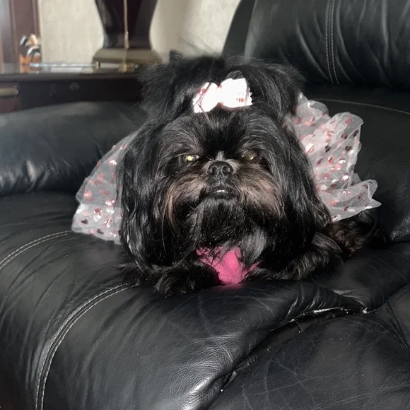 Wagatude Size Medium Mommy’s Sweetheart Dress! Tulle bottom with 🩷s! Valentine - Picture 4 of 8